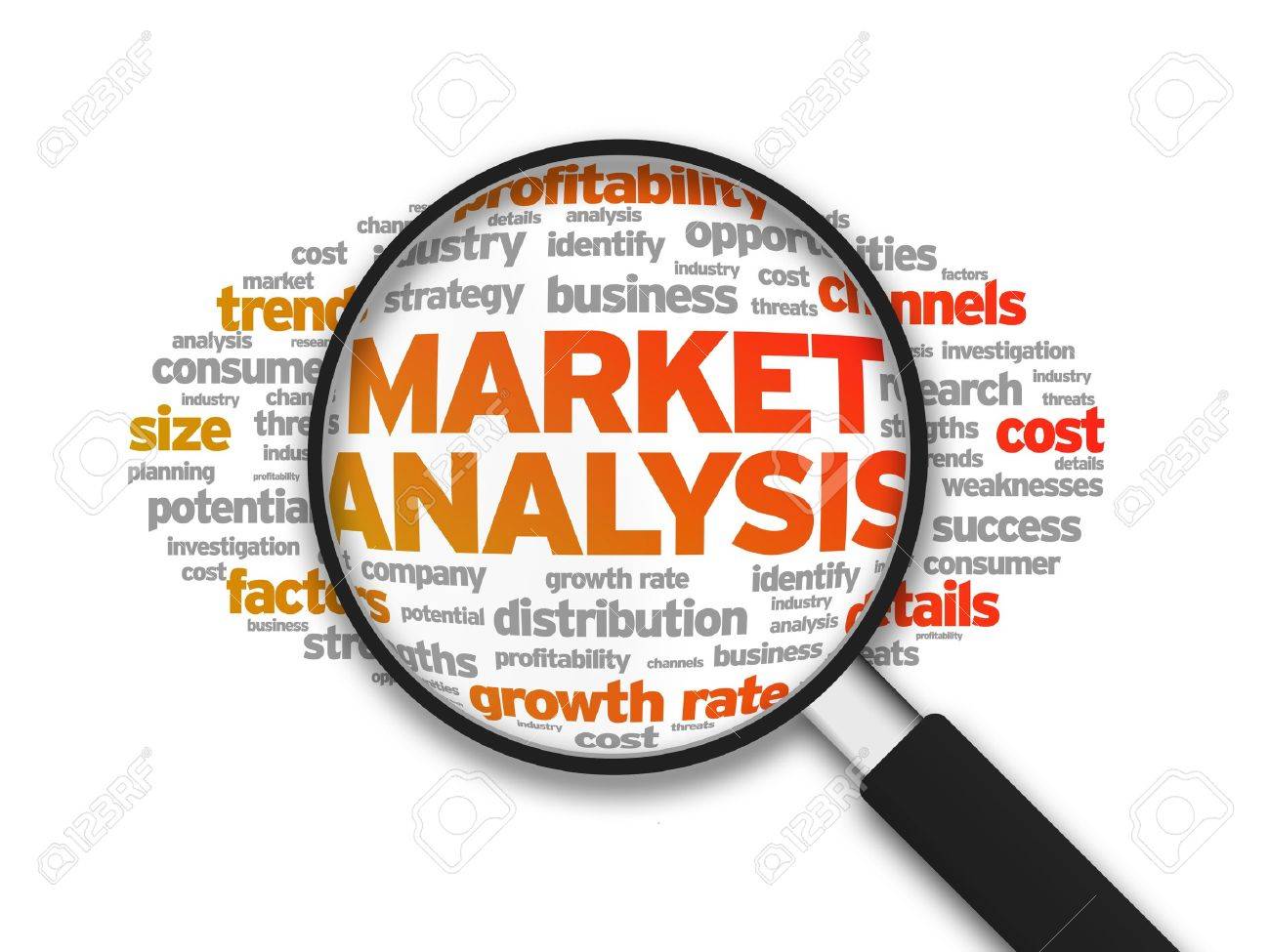 Trends & Market Analysis